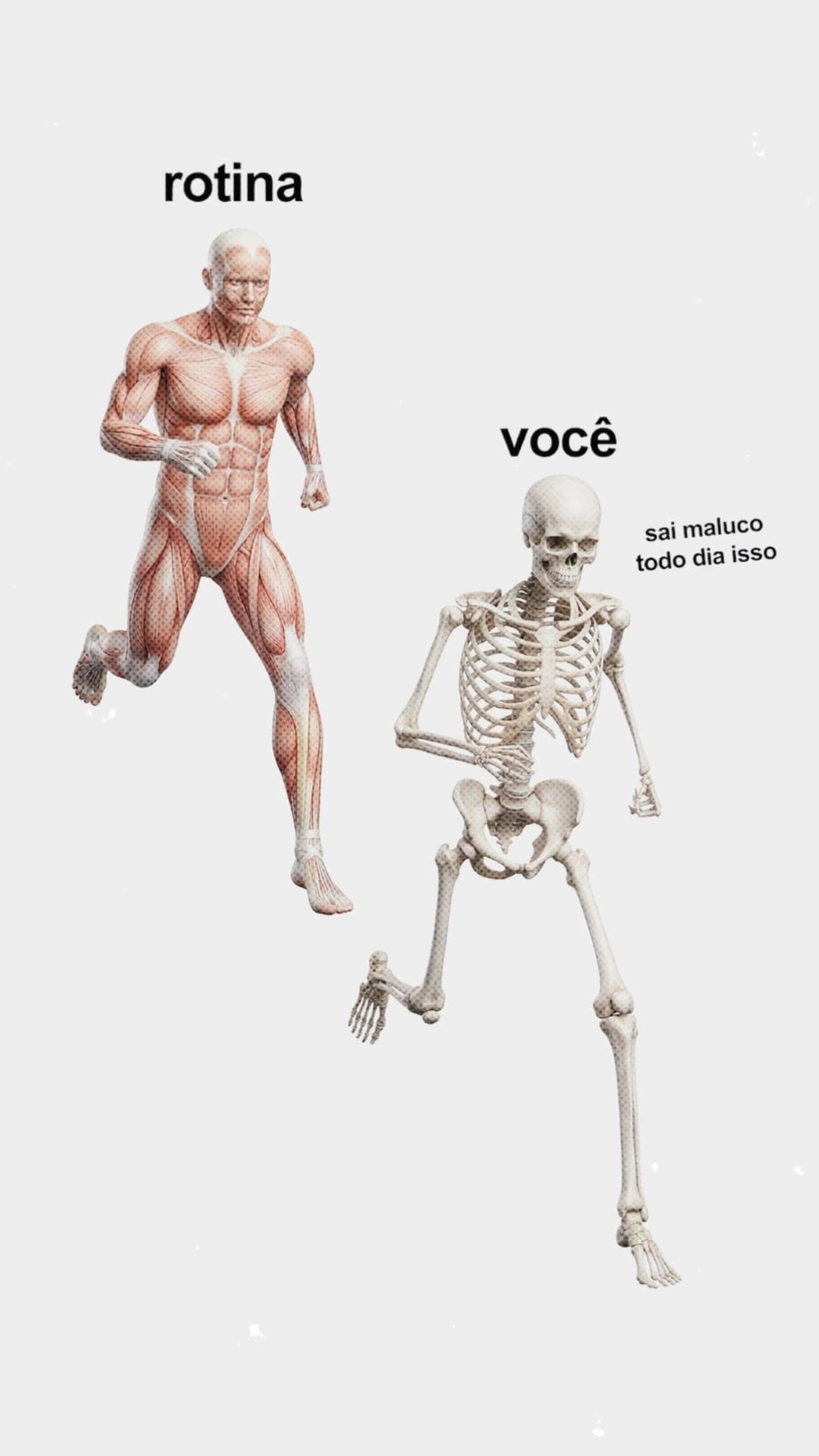 Imagem Motion